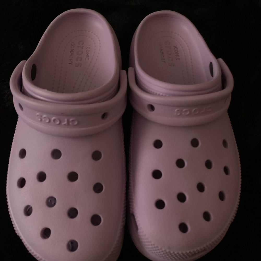 Lavender Cros